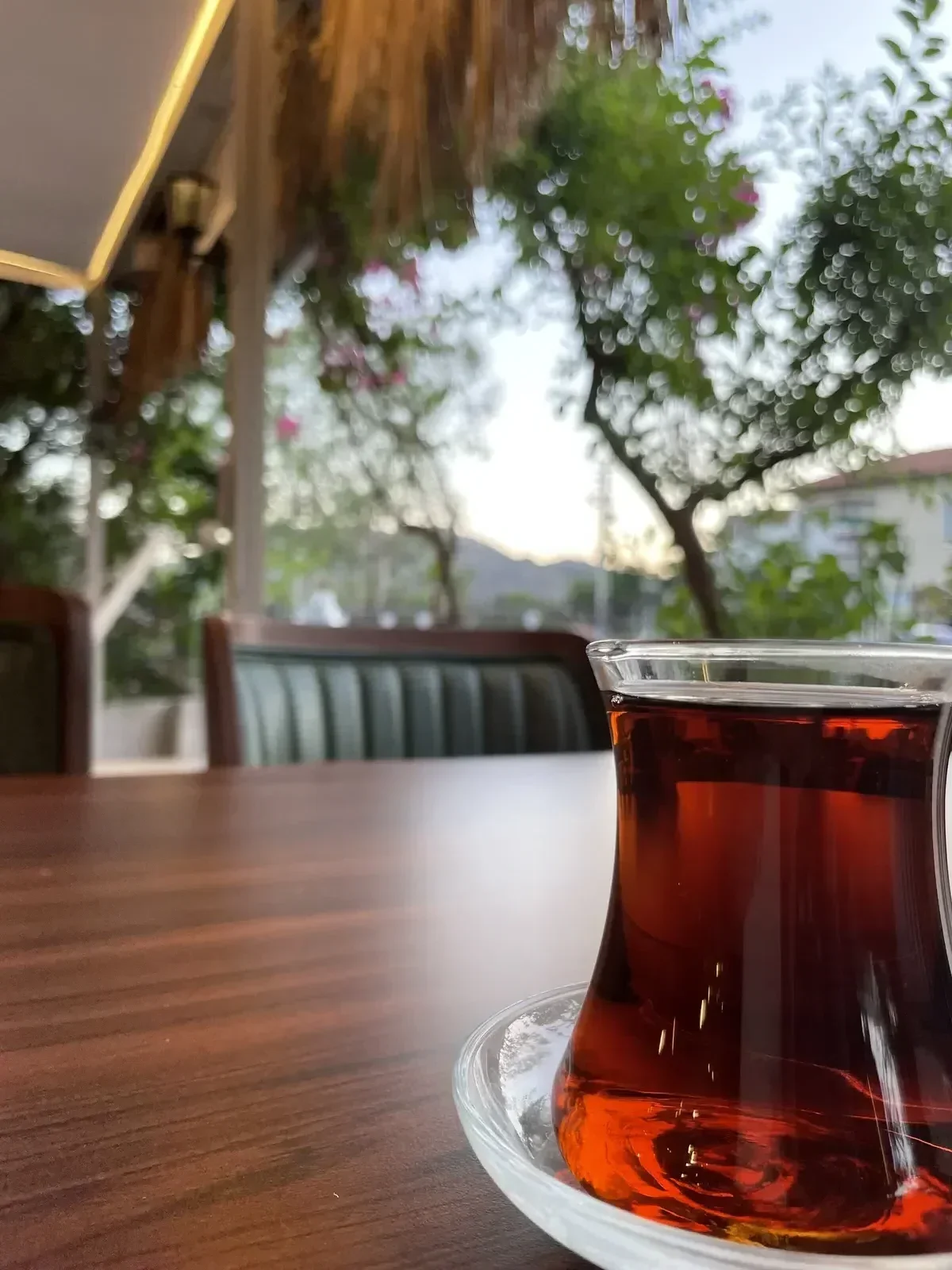 Bozburun Koylari Manzarasi